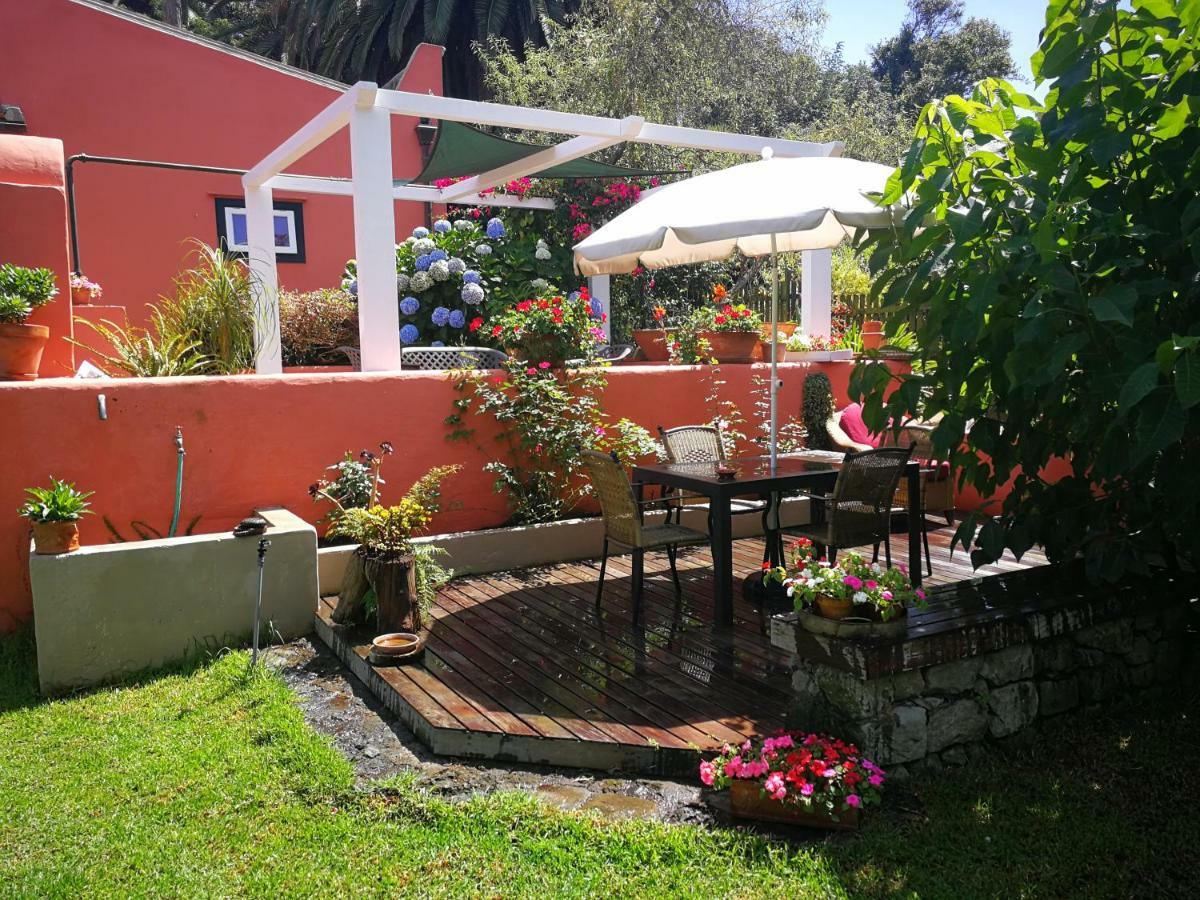 Jardines De Hortensia - Vacation Tenerife Hébergement de vacances