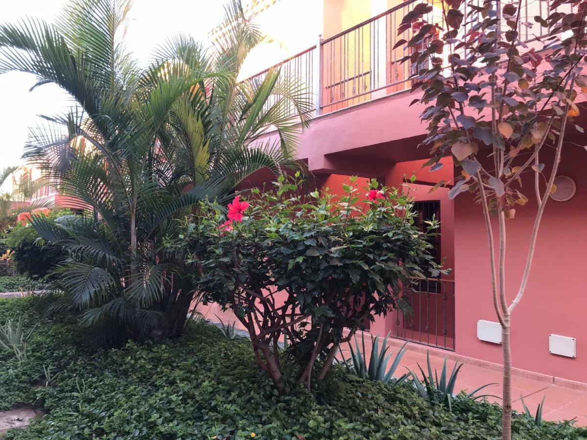 Appartement Dreaming The Sun Tenerife