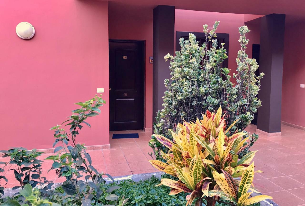 Dreaming The Sun Tenerife Appartement Costa Del Silencio
