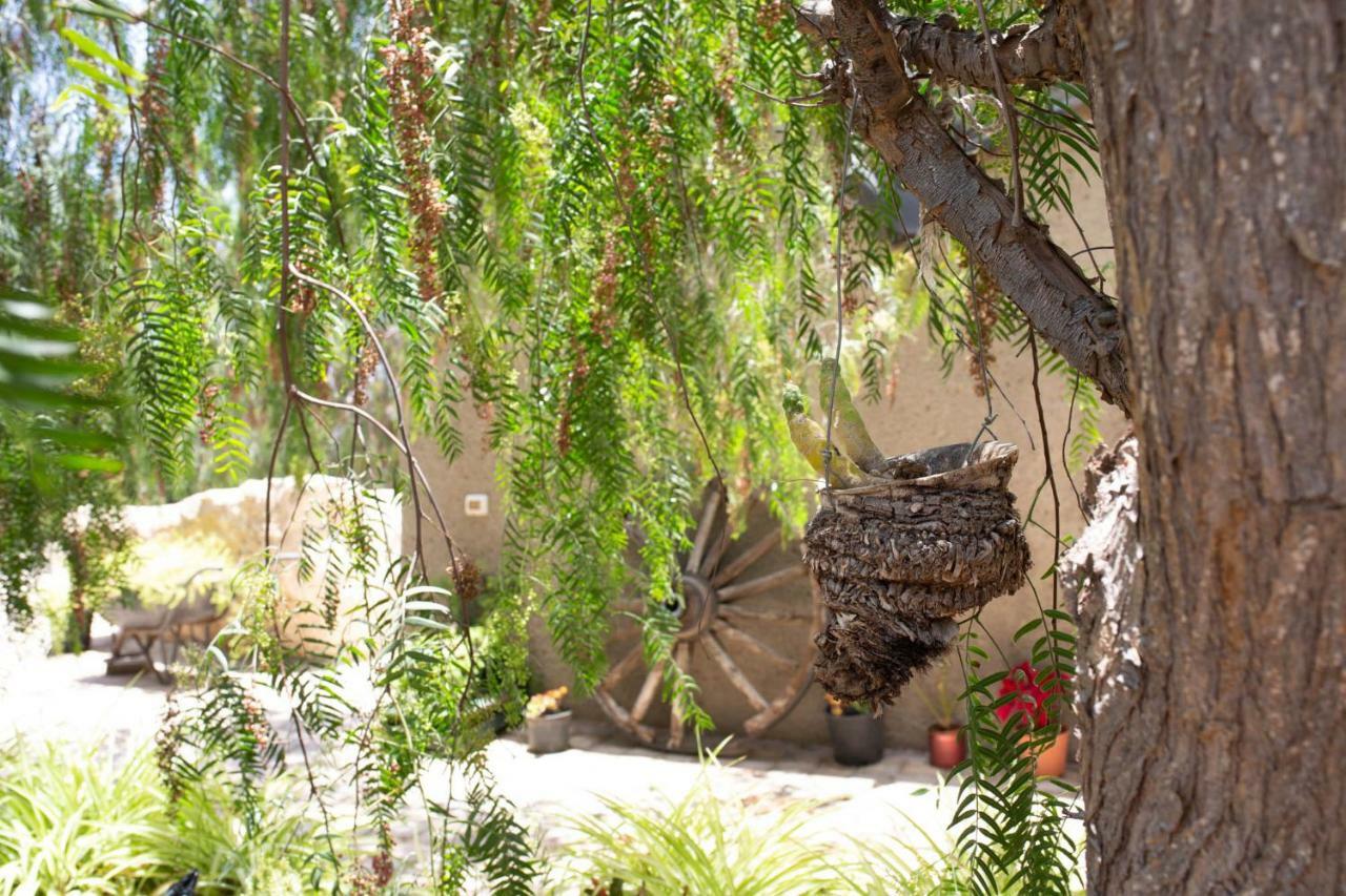La Malvasia Holiday home *