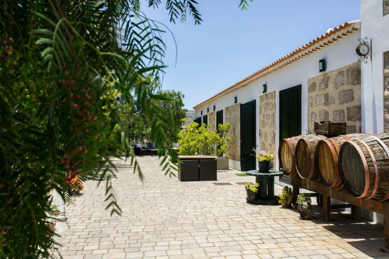La Malvasia