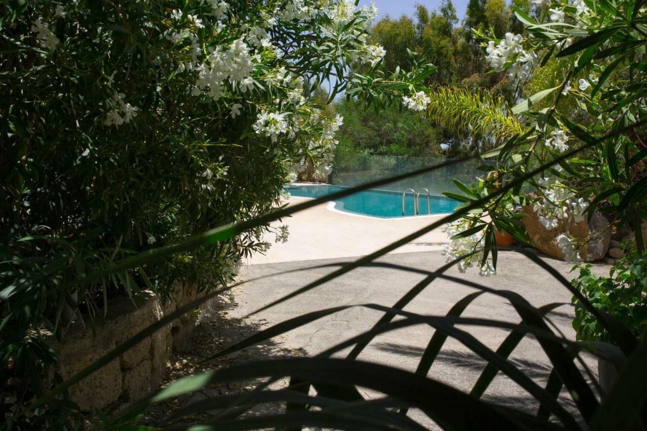 La Malvasia Holiday home Arico Viejo
