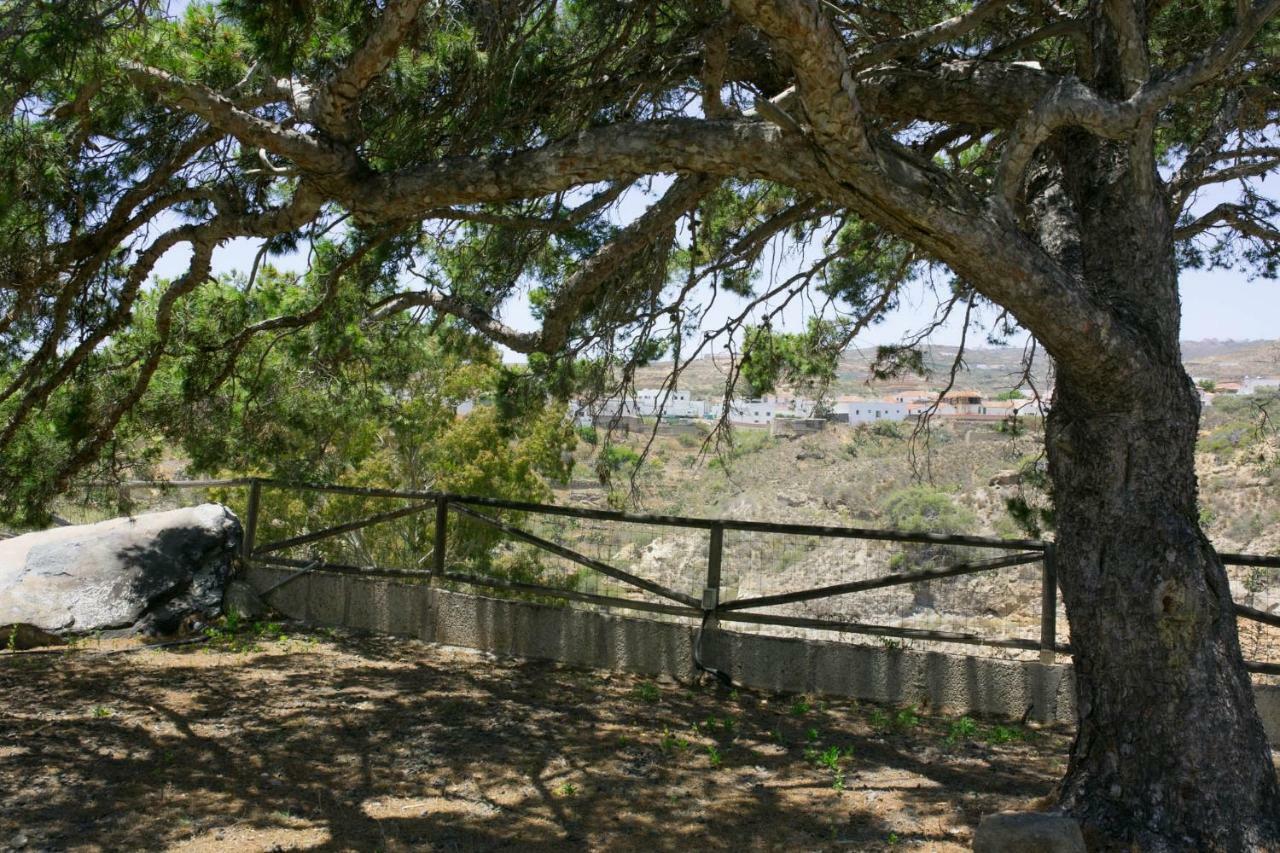 La Malvasia Holiday home *