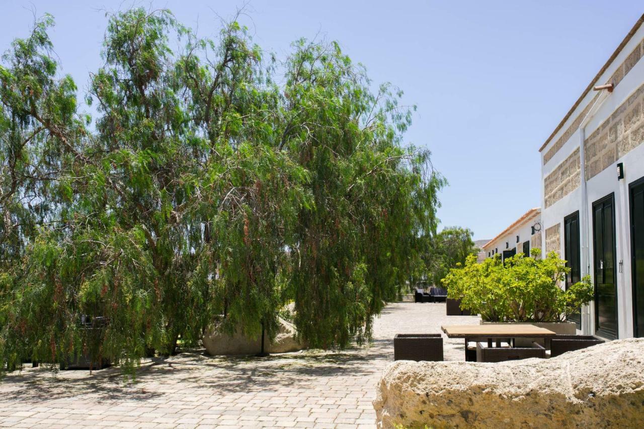 Holiday home La Malvasia *