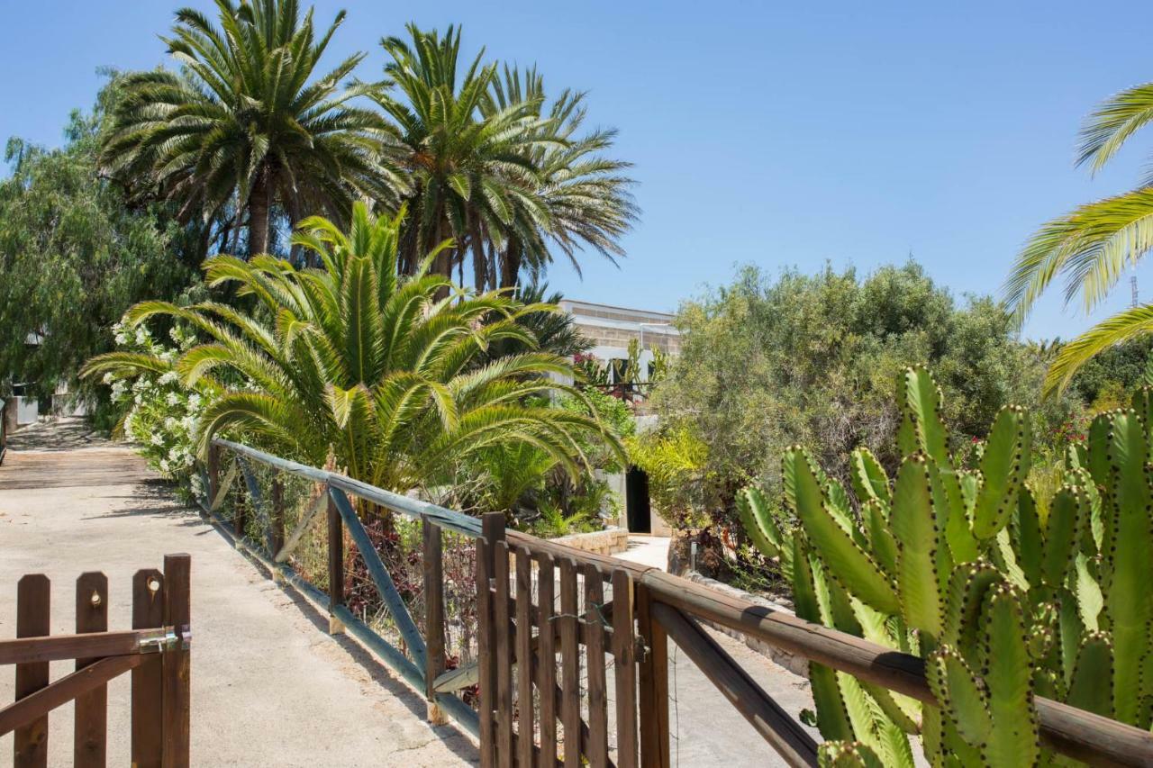La Malvasia Holiday home Arico Viejo