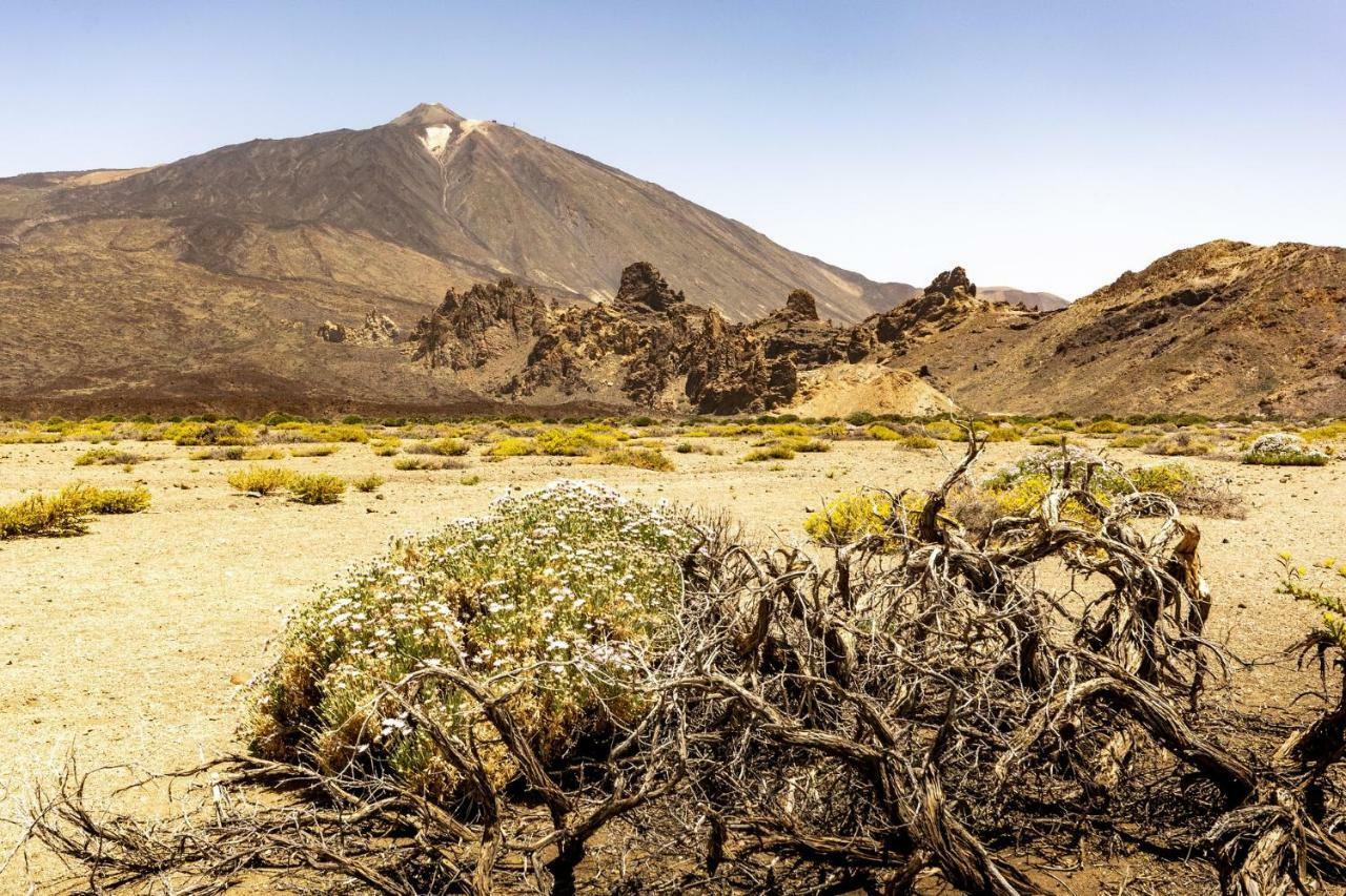 Holiday El Teide *