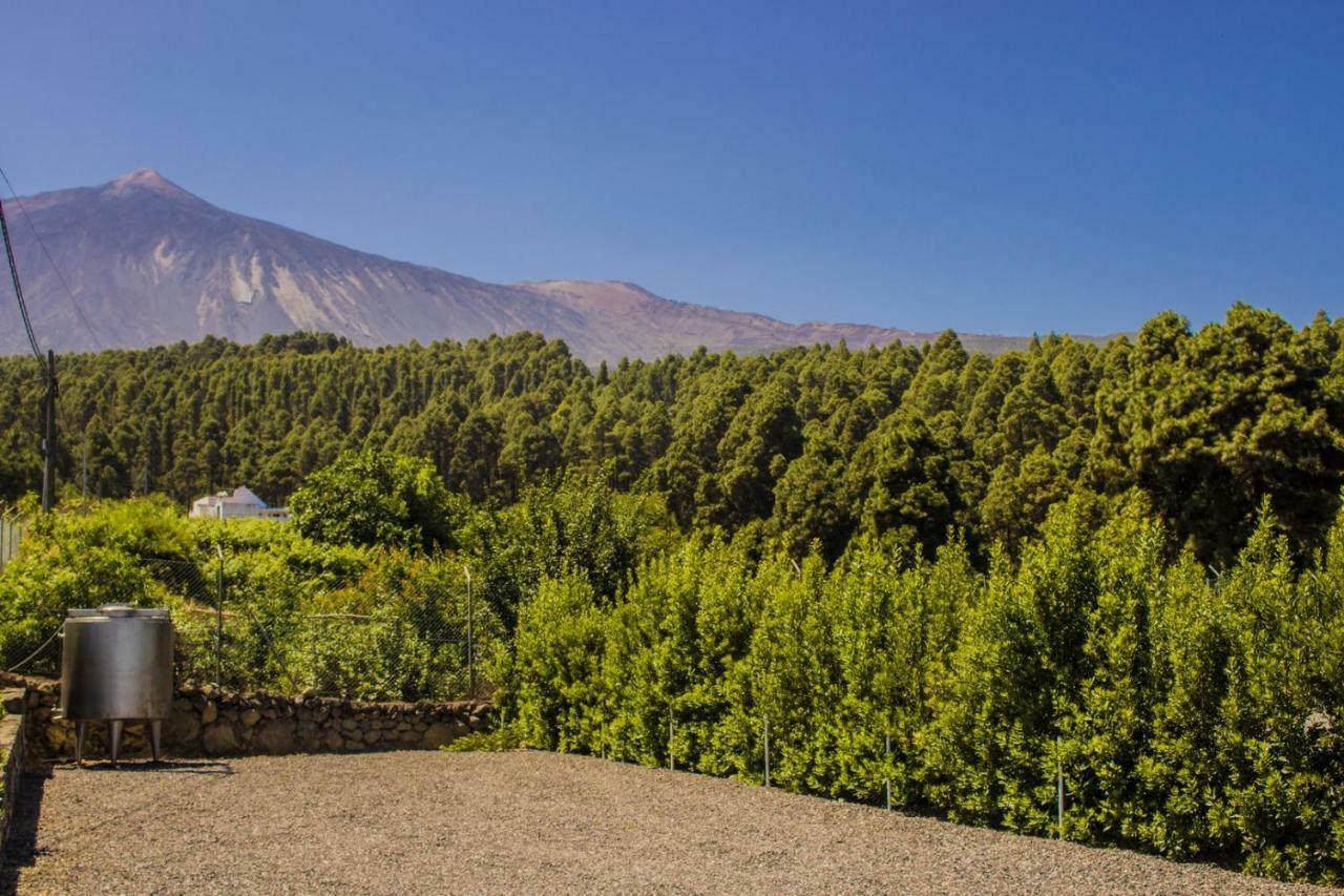Holiday El Teide Hébergement de vacances