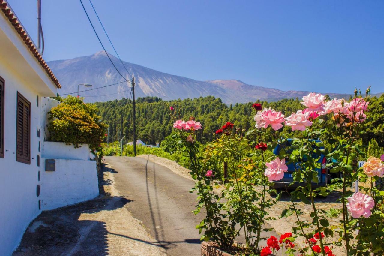 Holiday El Teide *