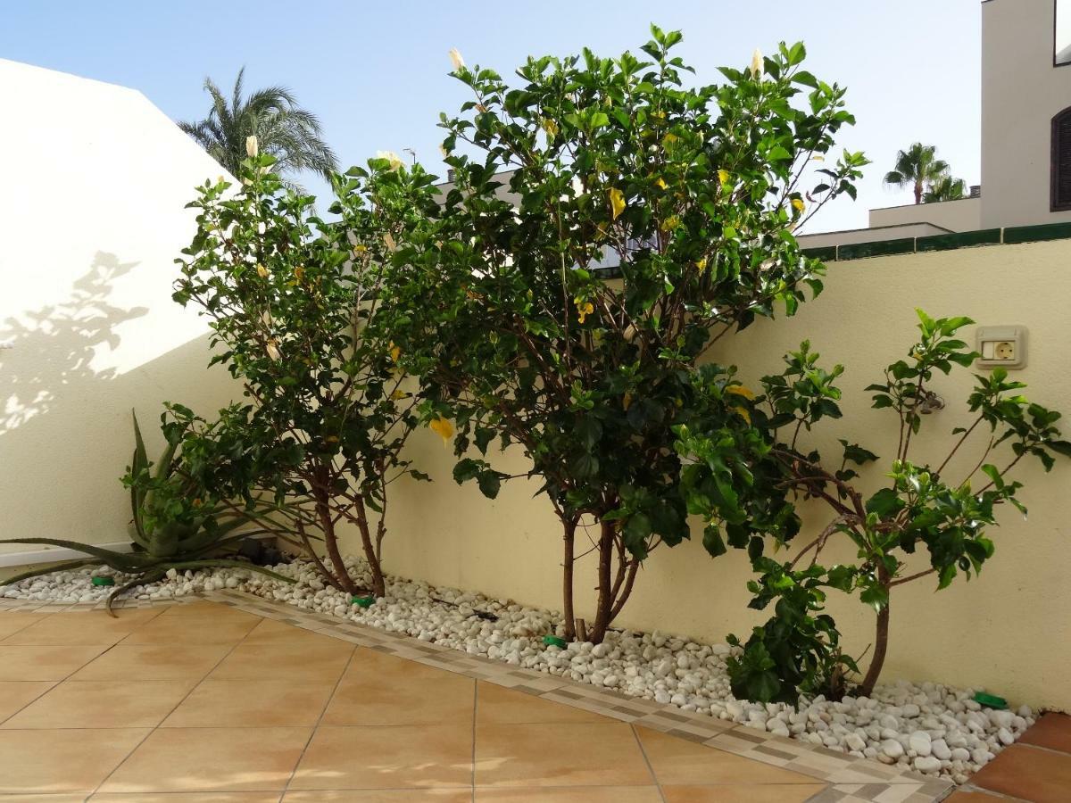 Apartamento Residencial Geranios 13 *