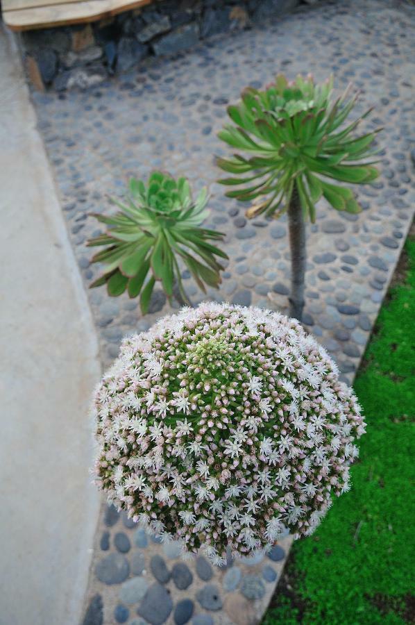 El Susurro Ecoliving Guincho Villa
