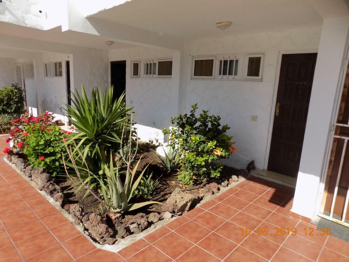 Oasi 1 Apartment Costa Del Silencio