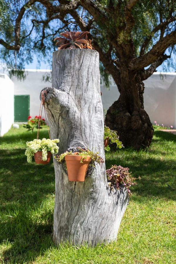 Beautiful Countryside With Teide Views, Los Arcos De Rozayna By Eden Holiday home *