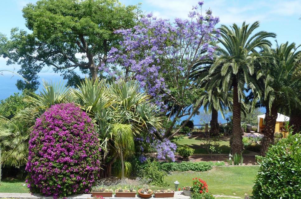 Guest house Finca Casa Vieja *