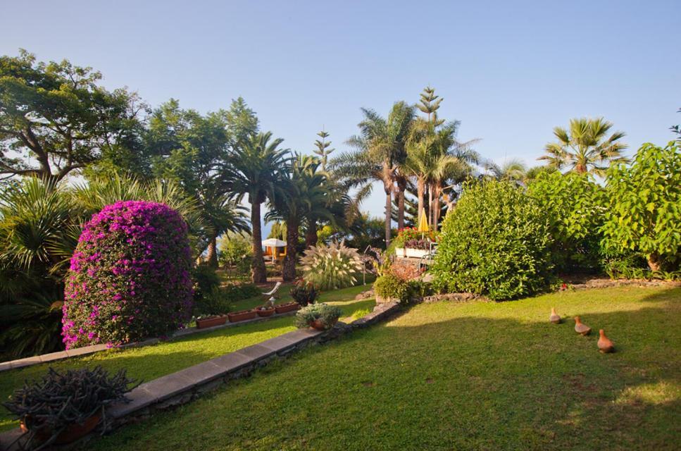 Finca Casa Vieja Santa Ursula (Tenerife)