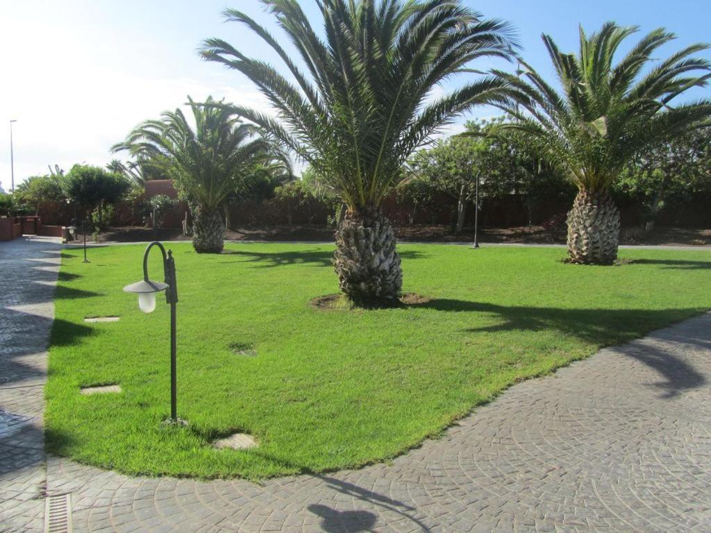 Appartement Moleiro- *