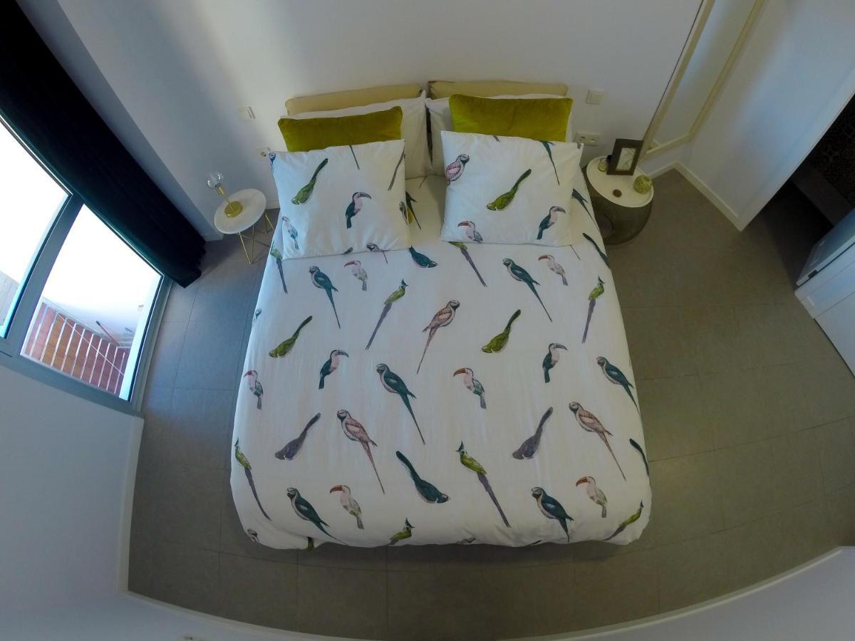 Appartement Casa Bonita Médano El Médano
