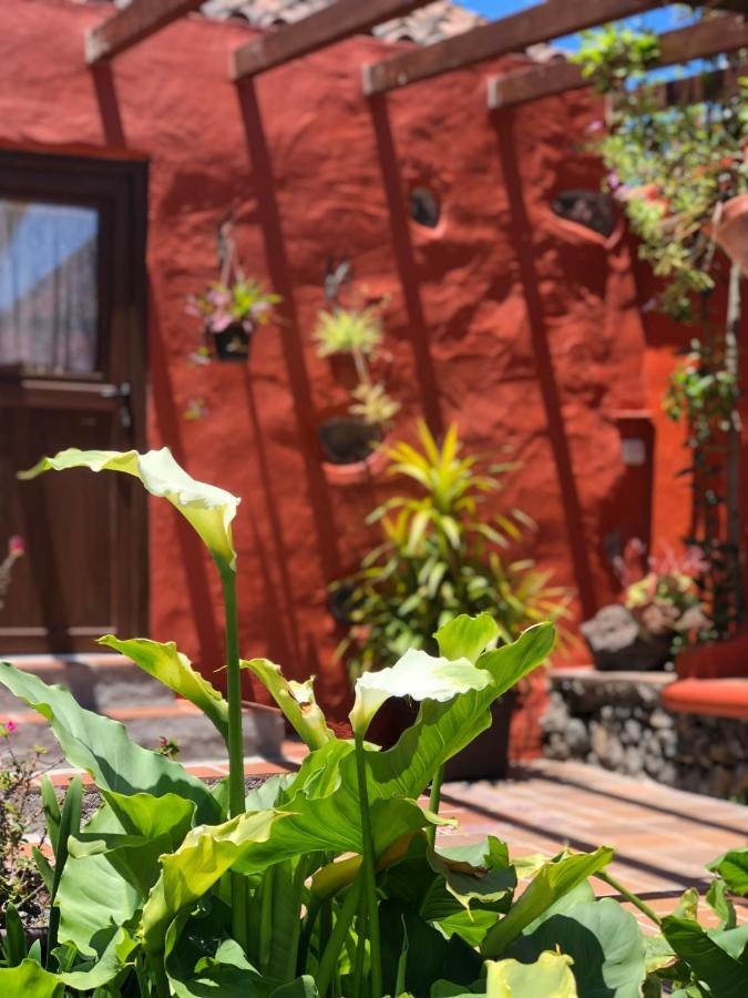 Casa Terrera 