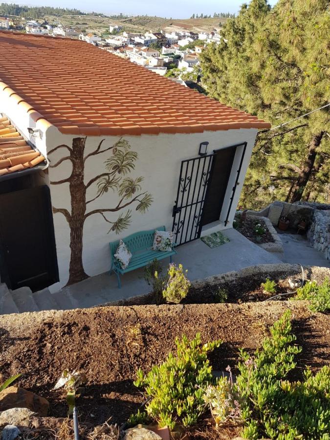 El Mirador Apartment Vilaflor