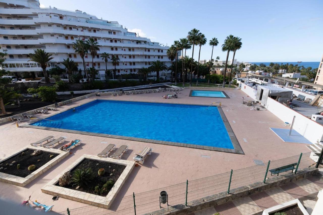 Modern With Pool And Wifi Apartment