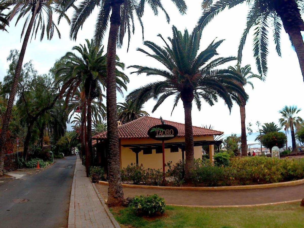 Apartamento Estudio Brillante, Confortable Y Agradable Puerto de la Cruz (Tenerife)