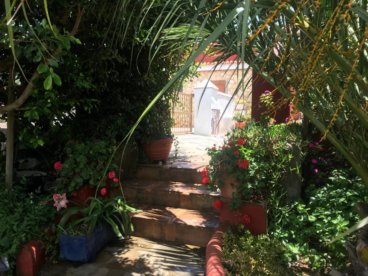 Casa Del Mir *