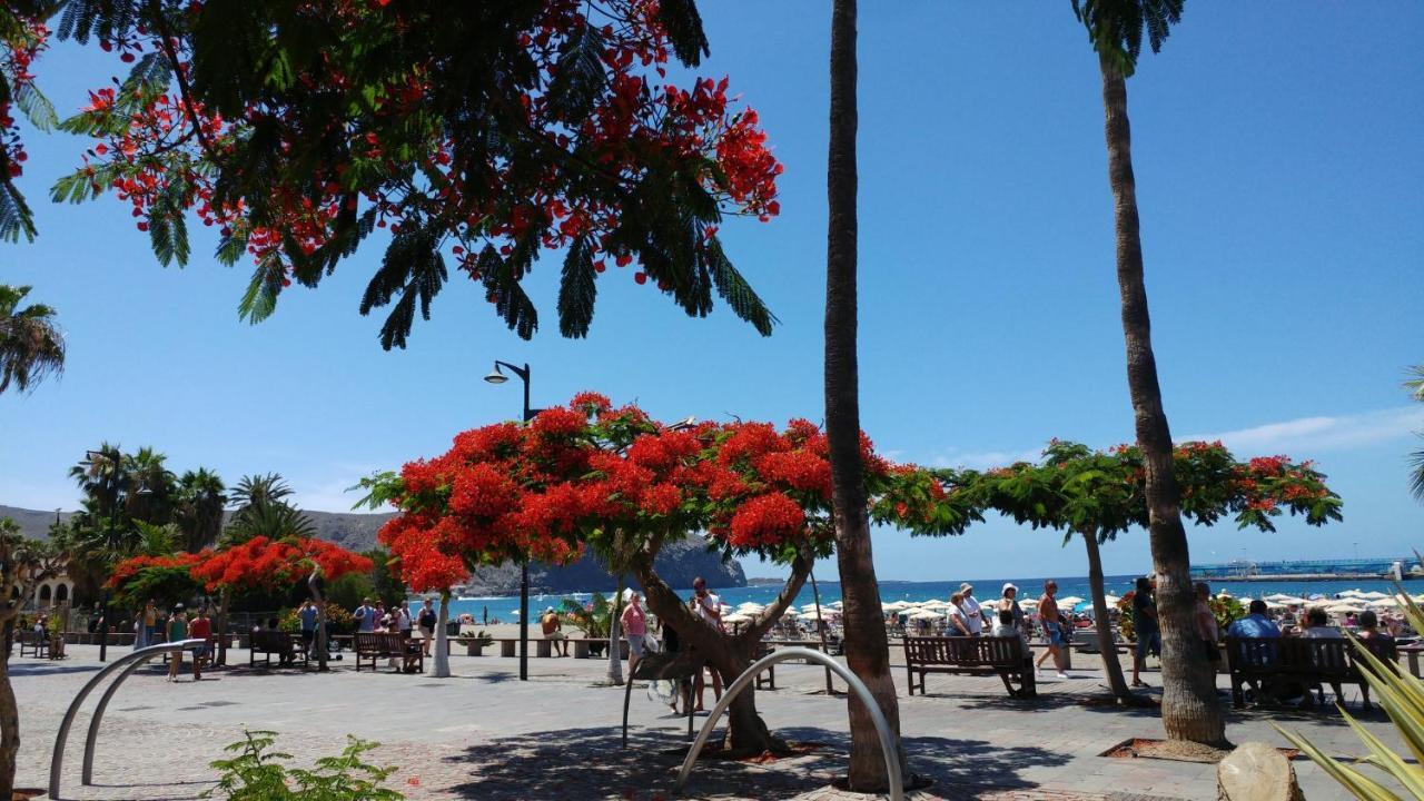 Casa Peter Los Cristianos Centro A 20 Metros Del Mar Hébergement de vacances Los Cristianos (Tenerife)