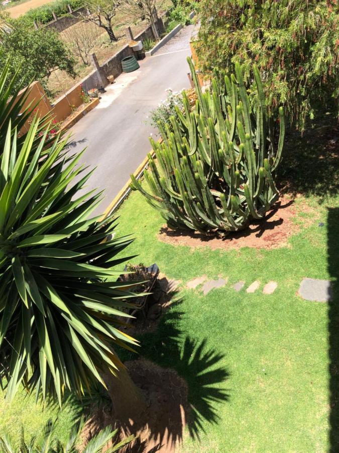 En La Laguna Appartement La Laguna (Tenerife)