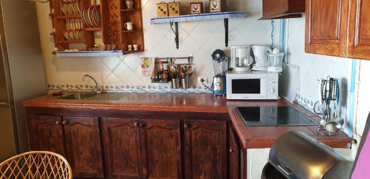 Cateyma Icod Hébergement de vacances Icod De Los Vinos