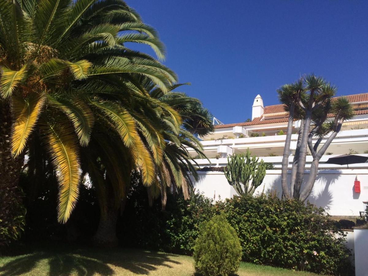 Apartement Tajinaste * Puerto de la Cruz (Tenerife)