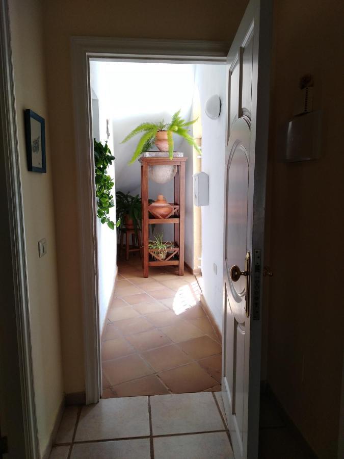 Apto. Pina De Mar Apartment Costa Adeje (Tenerife)