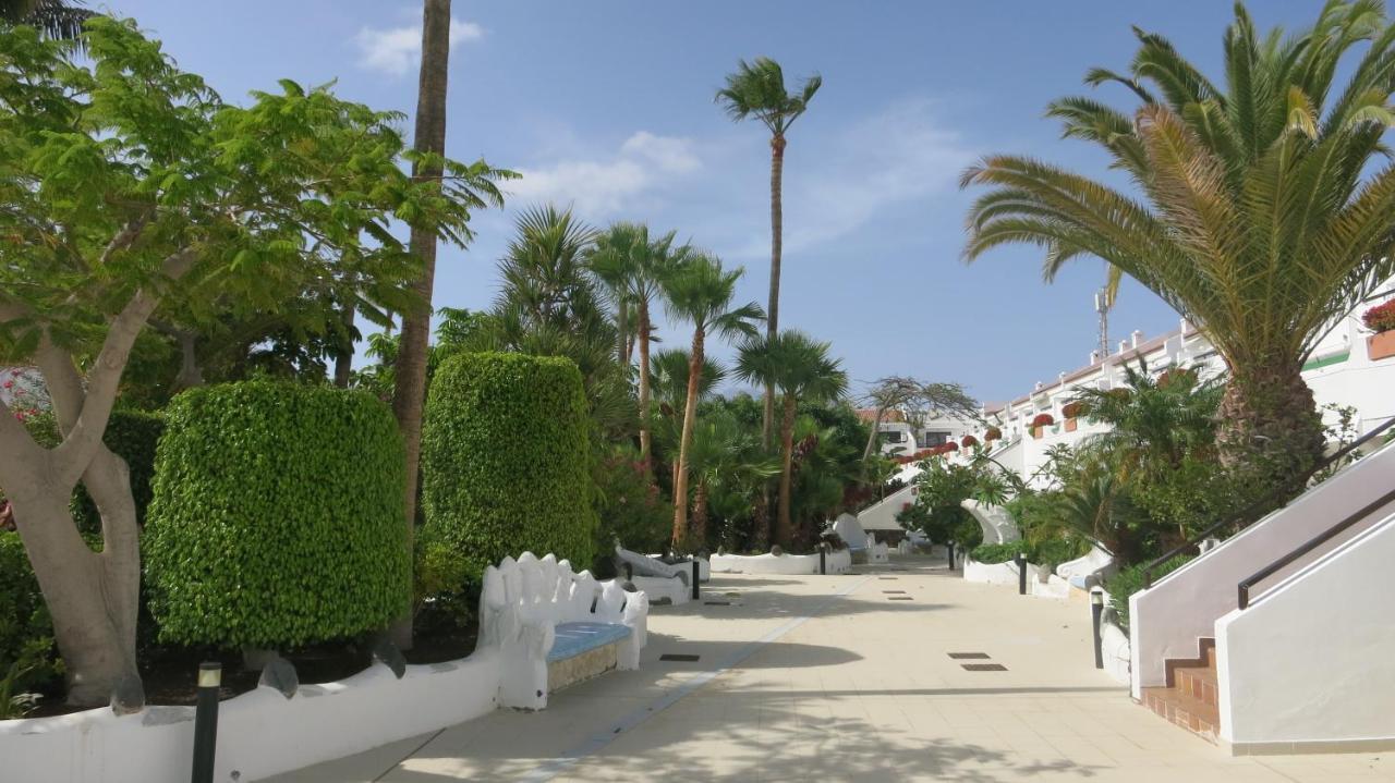 Tenerife With Impressive Pool 315 Costa del Silencio