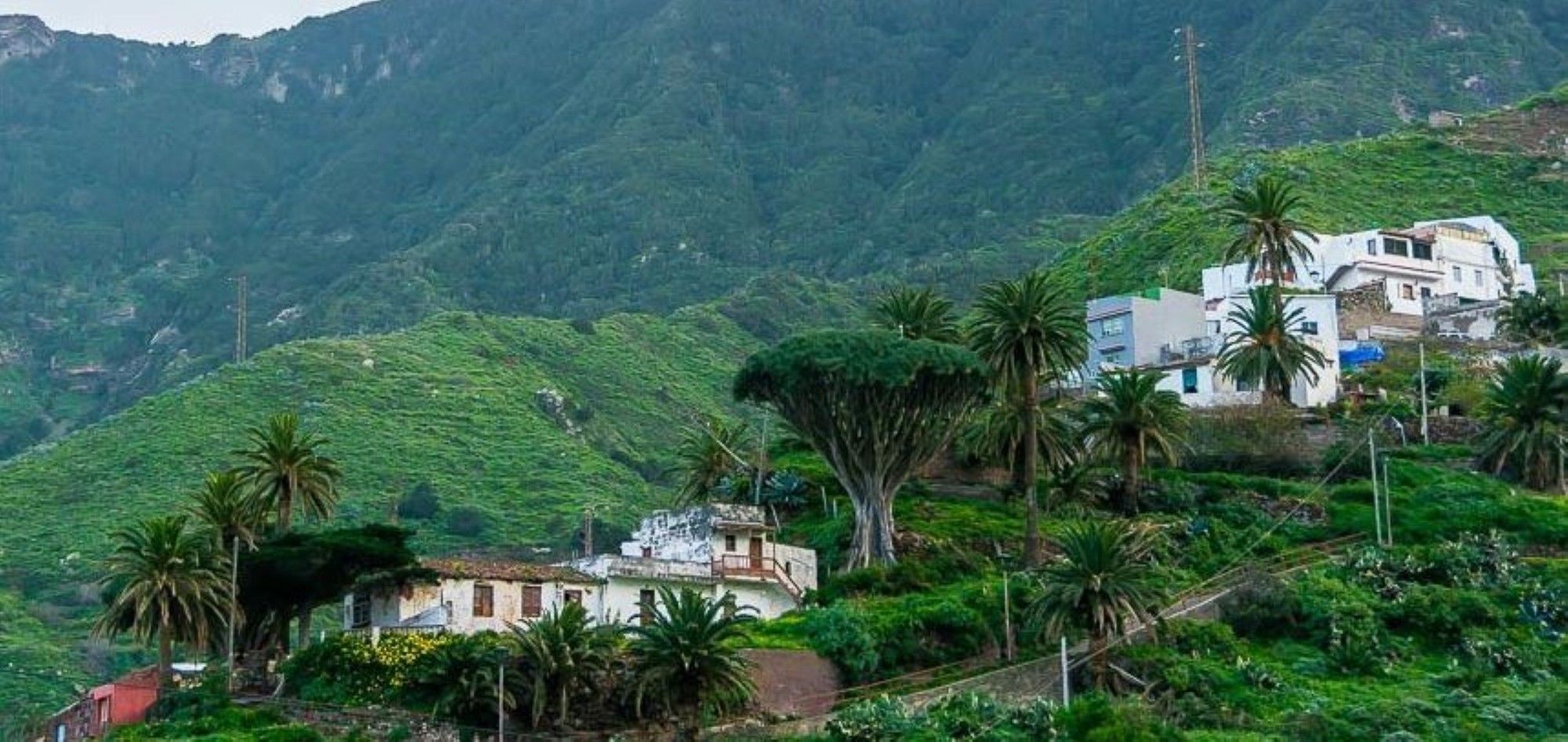 House In Taganana - 103773 By Mo Santa Cruz de Tenerife