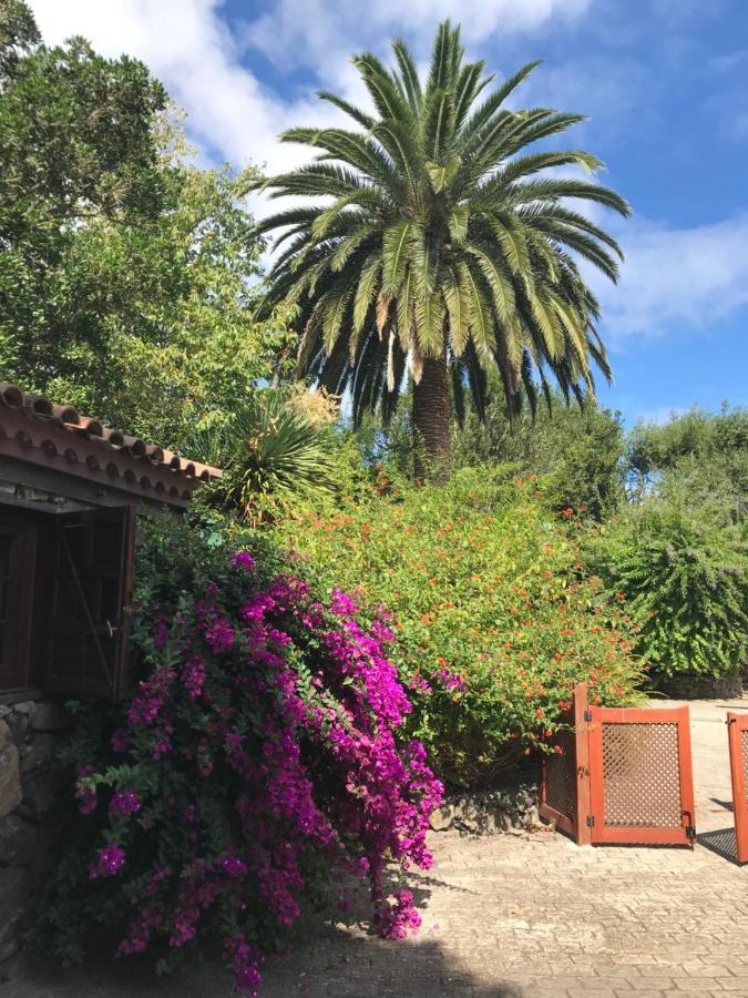 Rincon De Abanes - Casa Jardin-vv Appartement
