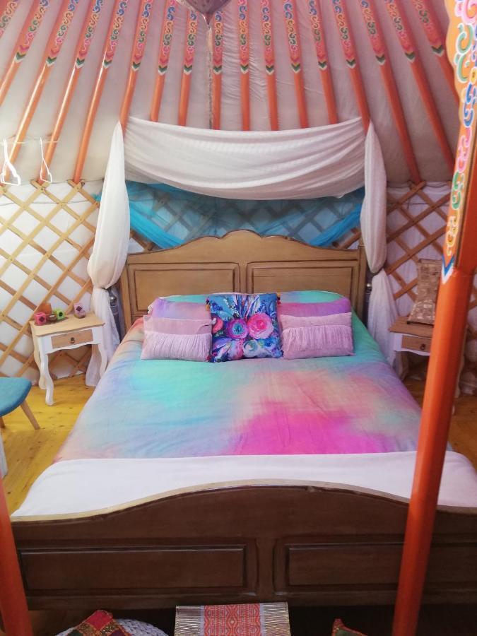 Luxury tent Yurta De Arico