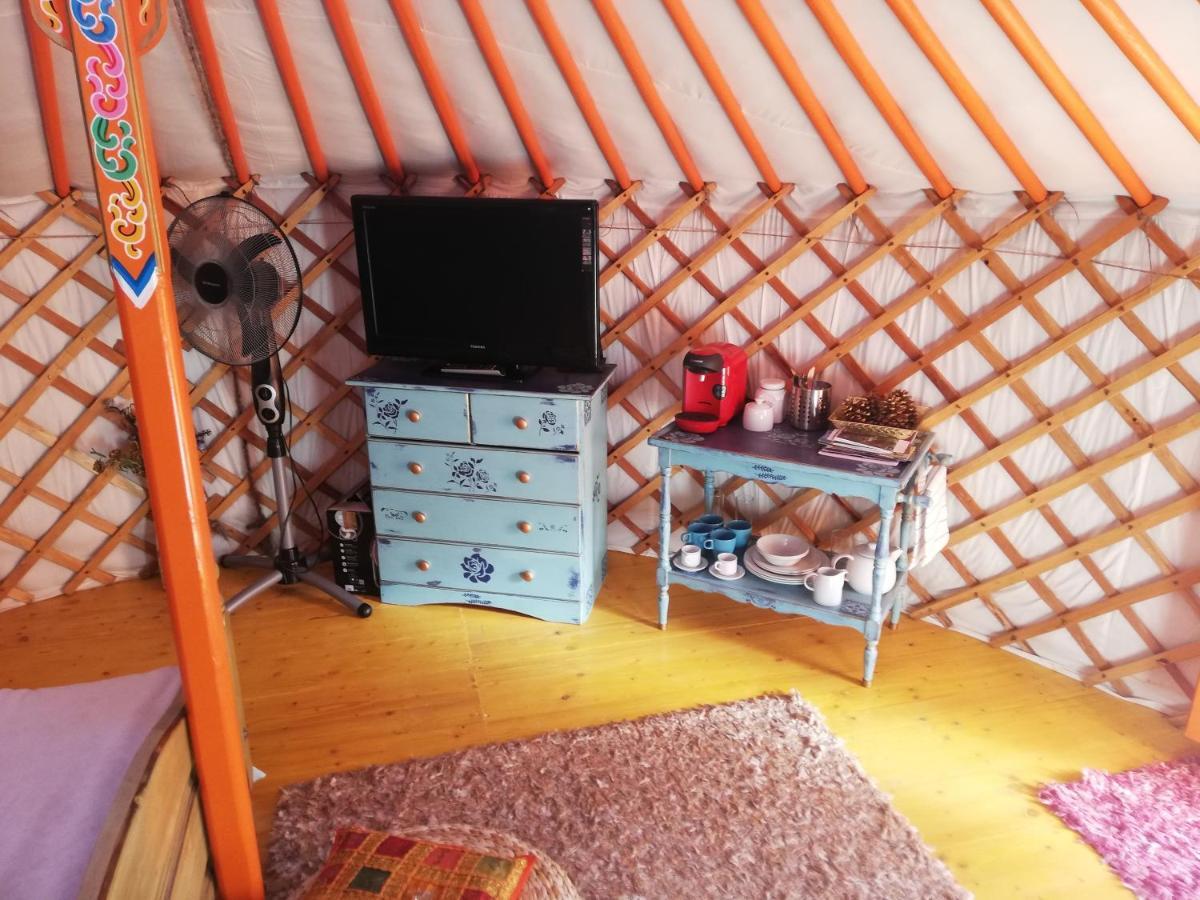 Luxury tent Yurta De Arico *