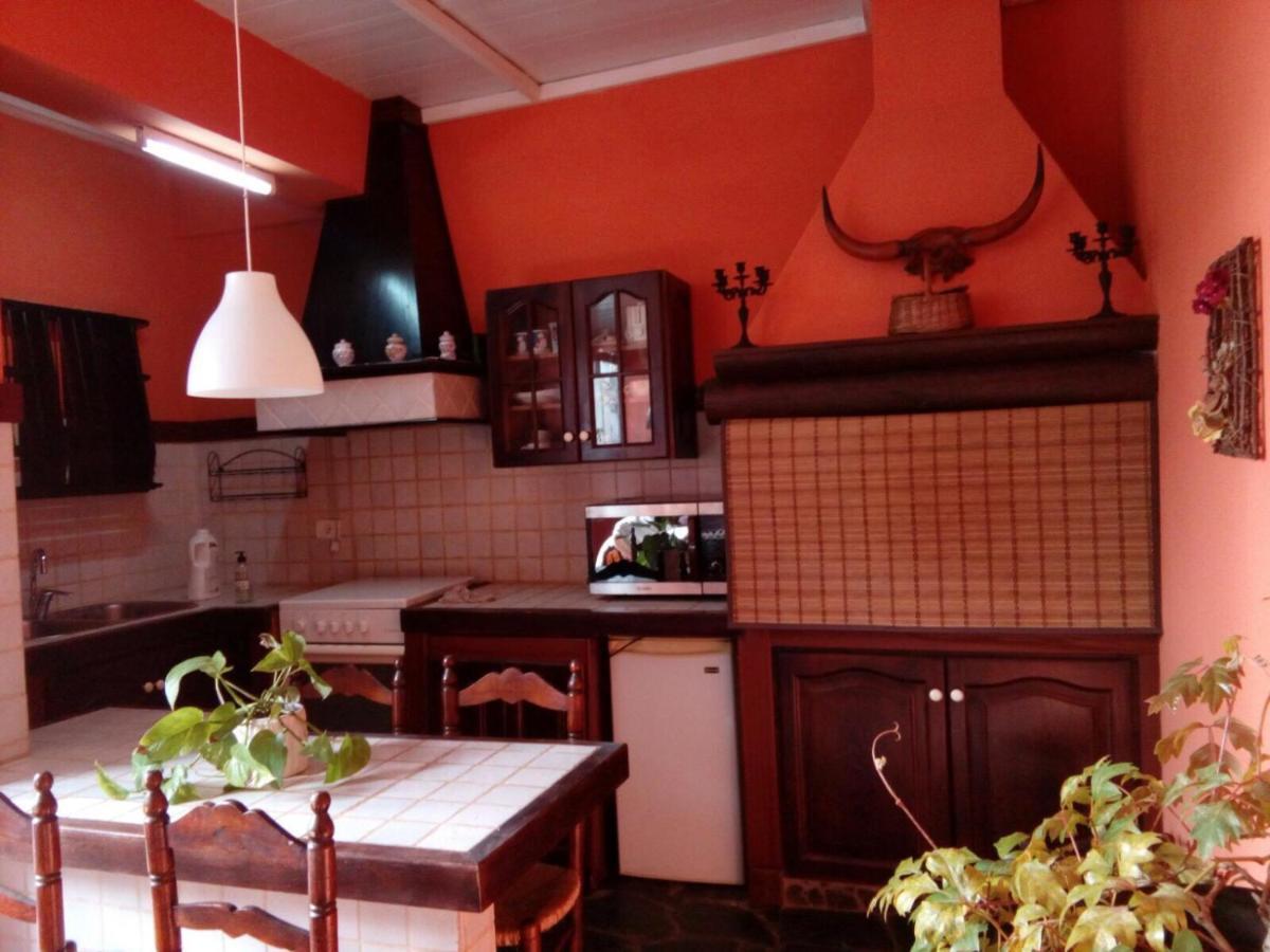 Loft Green Apartment La Laguna (Tenerife)