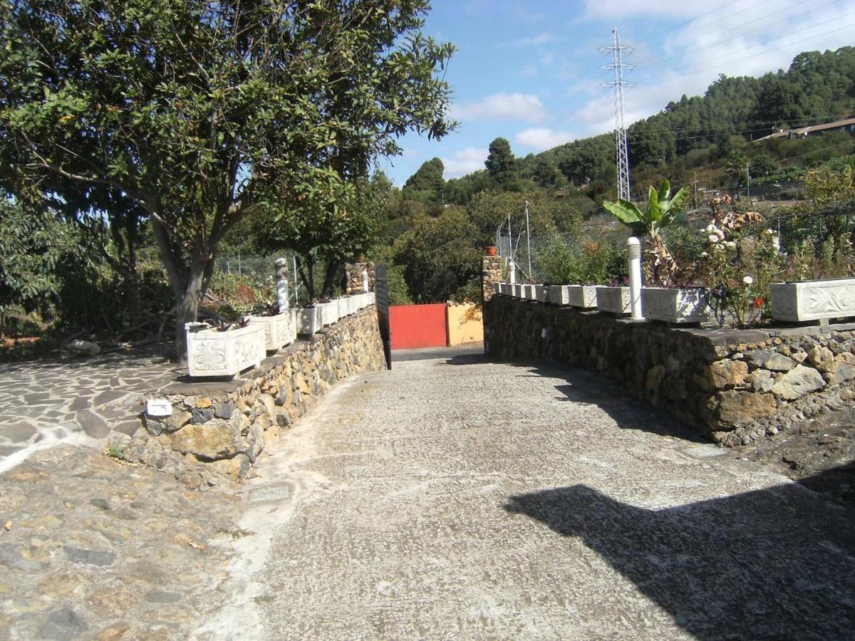 Casa Rural - La Casita Del Monte Holiday home Icod De Los Vinos