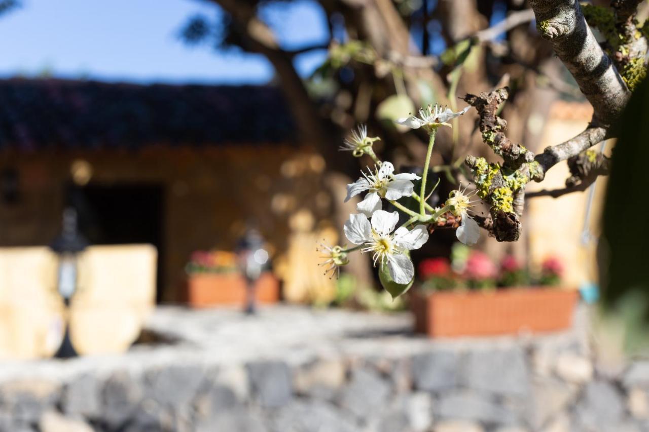 Home2book Rustic House El Palmar * Teno