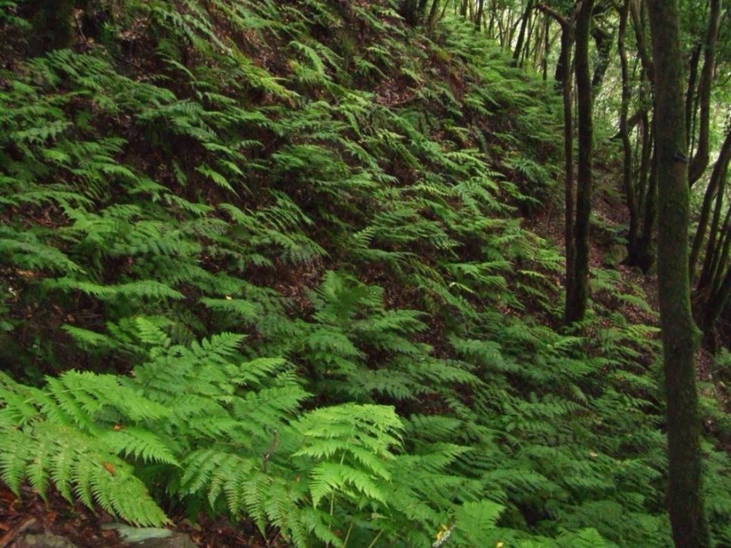 Casa Del Cu Bano A- Biosphere Reserve