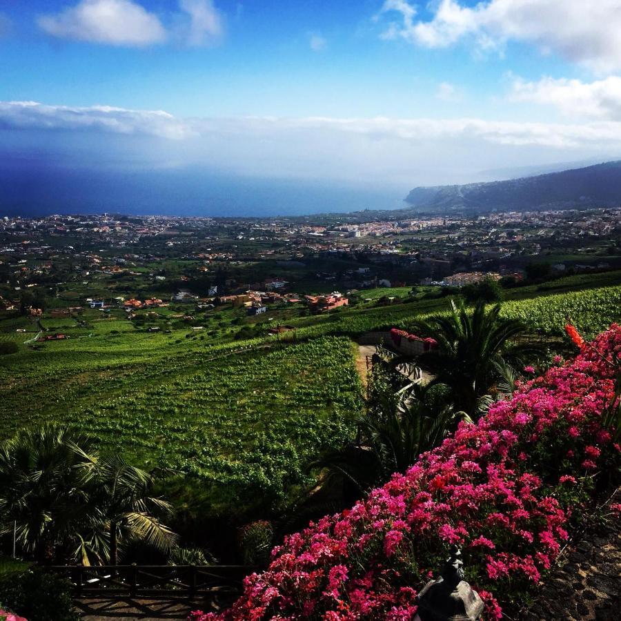 El Esquilon Tenerife Hébergement de vacances La Orotava