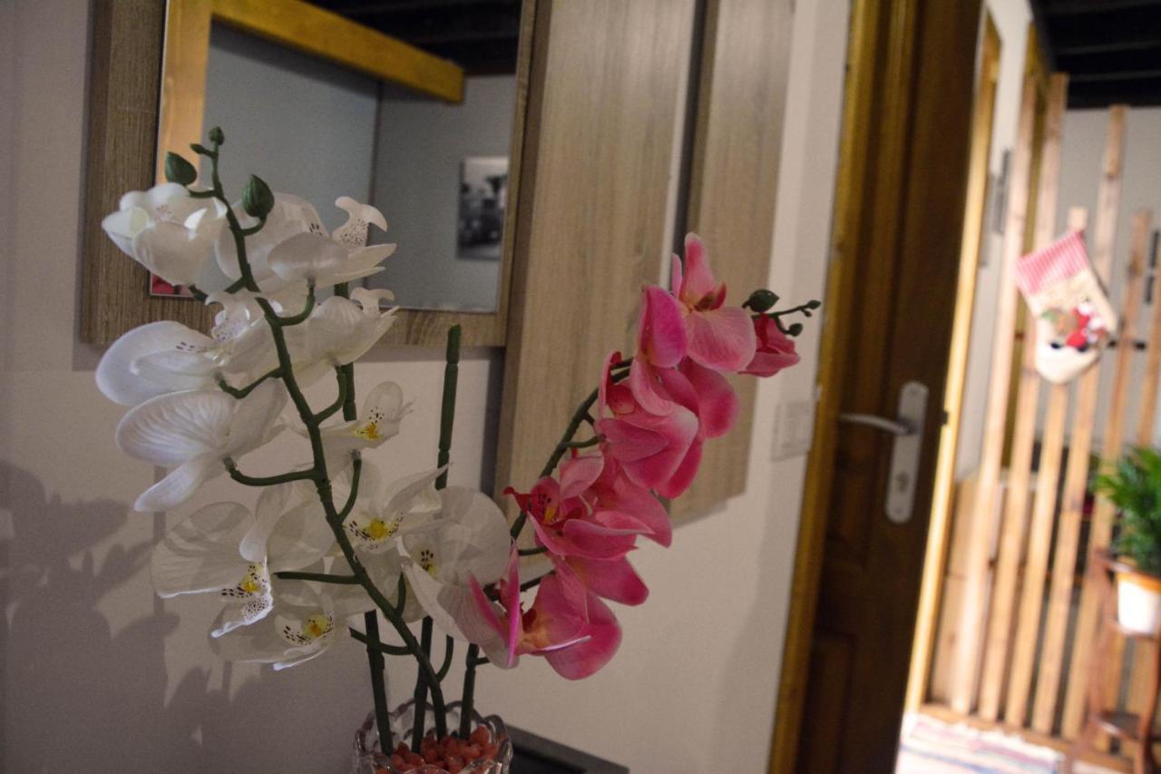 Appartement Canarian House Antigua Escuela *