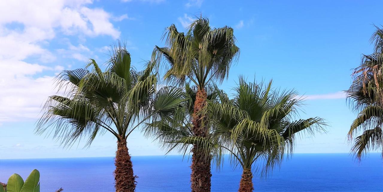 Appartement Larnia De Tenerife *