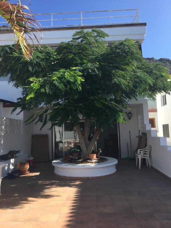 Casa Pino 2