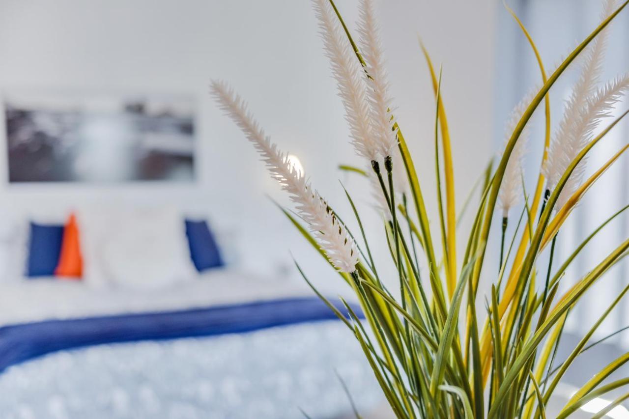 Casa Aloe Arona (Tenerife)
