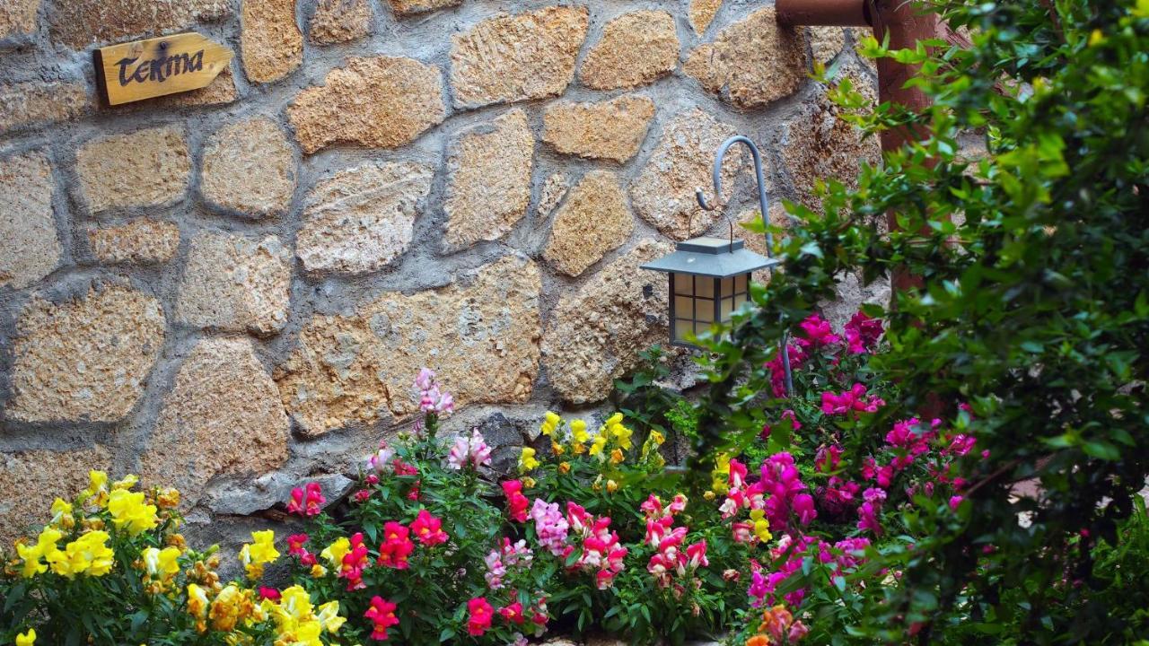 Rural San Miguel - Only Adults Hotel San Miguel de Abona