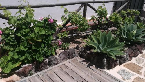 Appartement Emblema 3