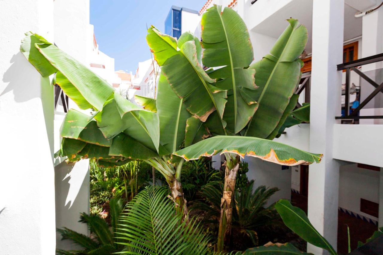 Estudio 1 Sara En Playa De America - Sara Vacation Appartement *
