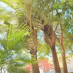 Vacaciones Sur Tenerife Ofogar
