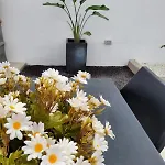 Mi Juliana
