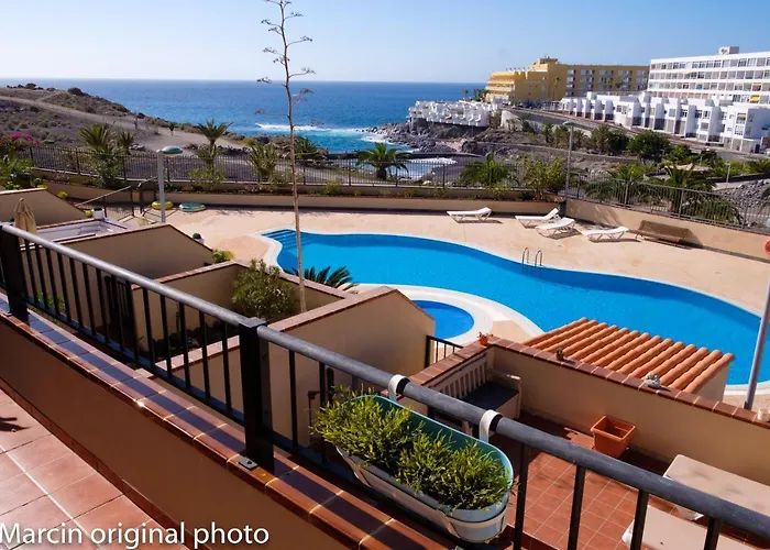 Tenerife Lizards - Duplex In The First Line